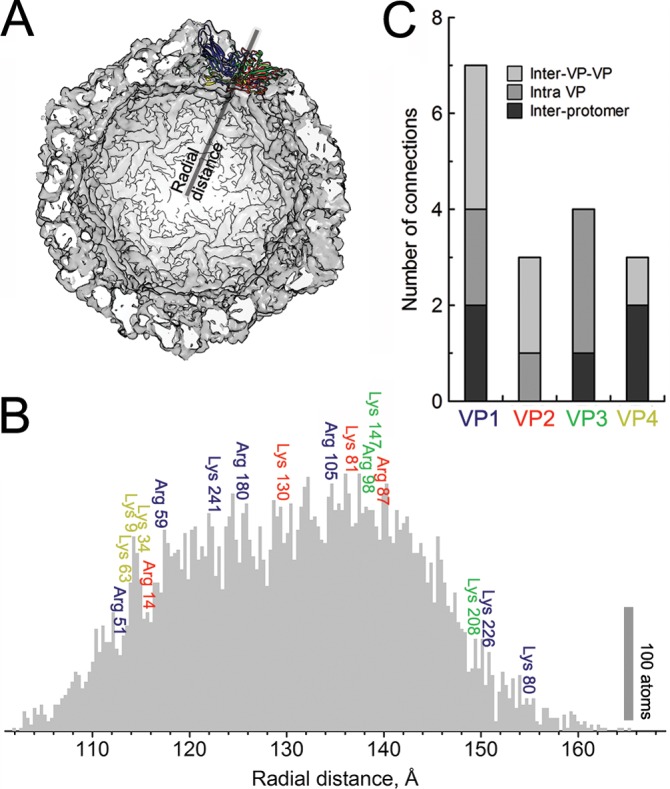 FIG 6