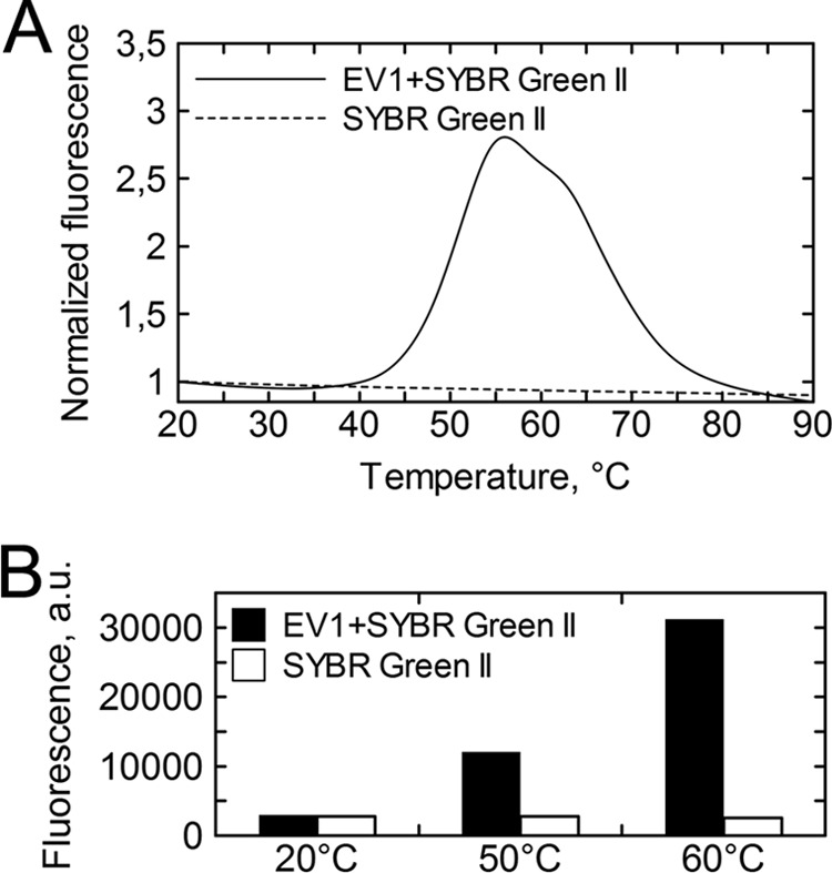 FIG 2