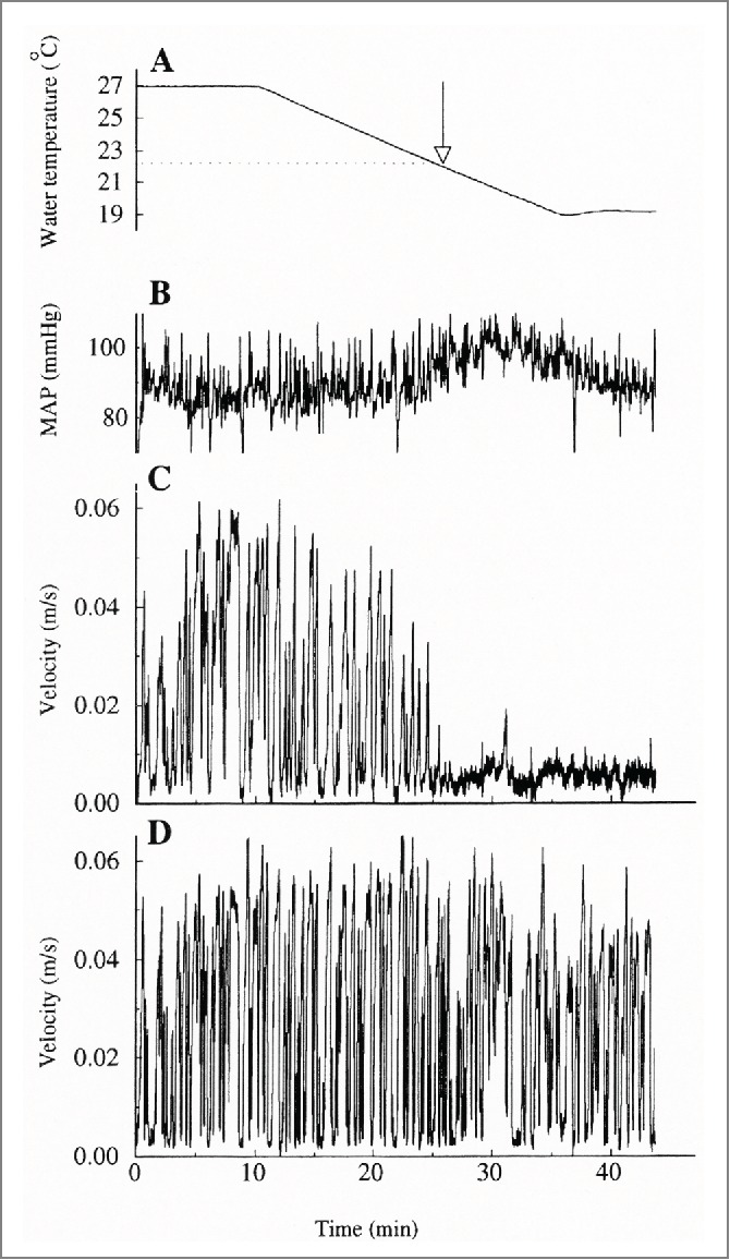 Figure 12.