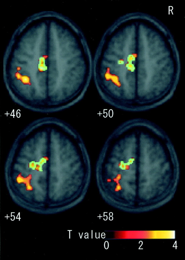 Fig. 4.