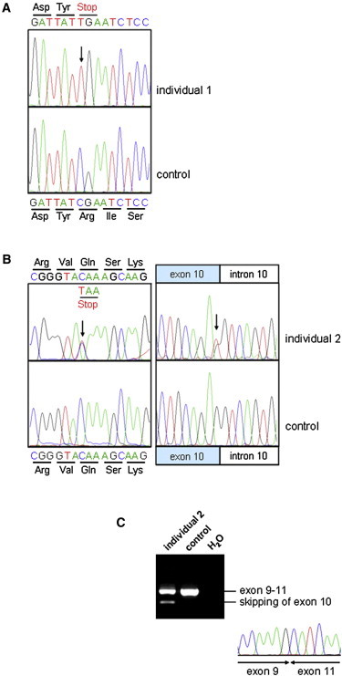 Figure 3