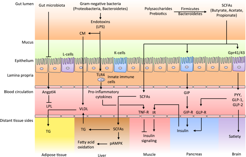 Figure 2