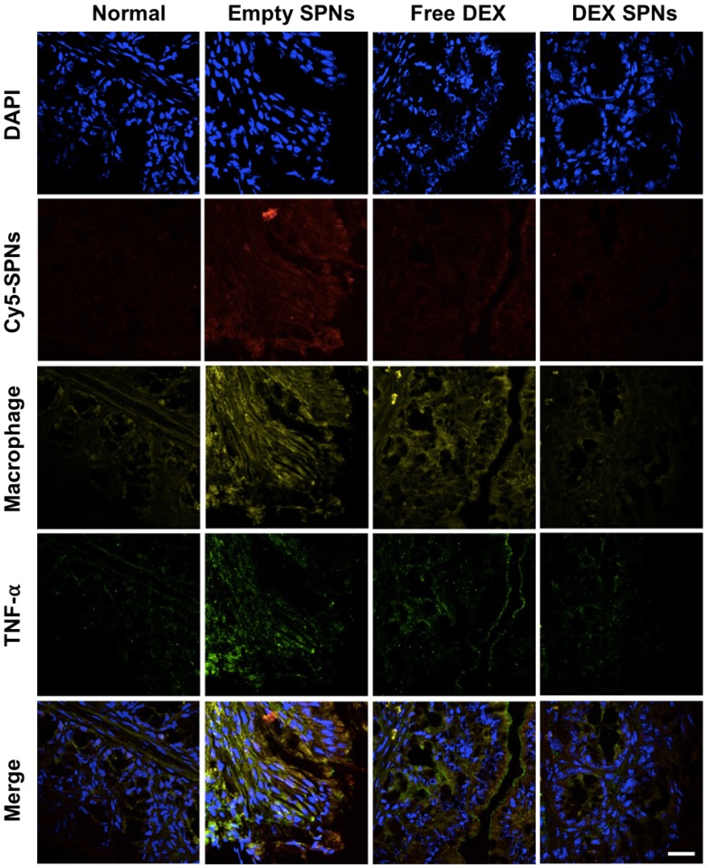 Figure 5