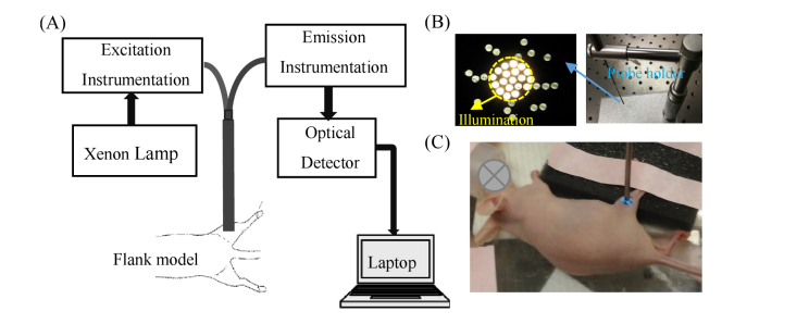 Fig. 1