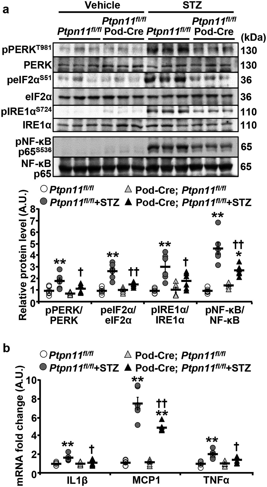 Fig. 3: