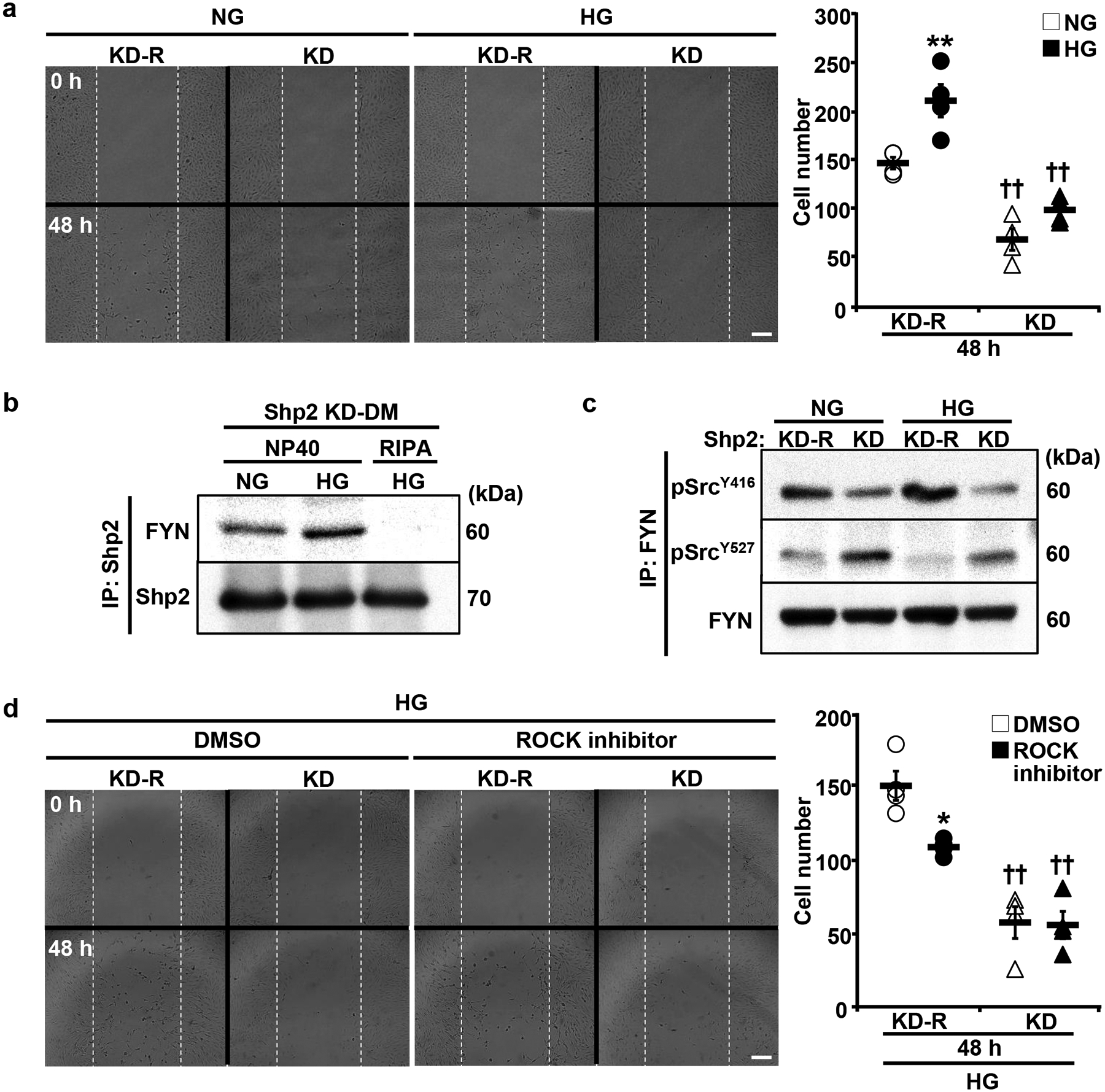 Fig. 7: