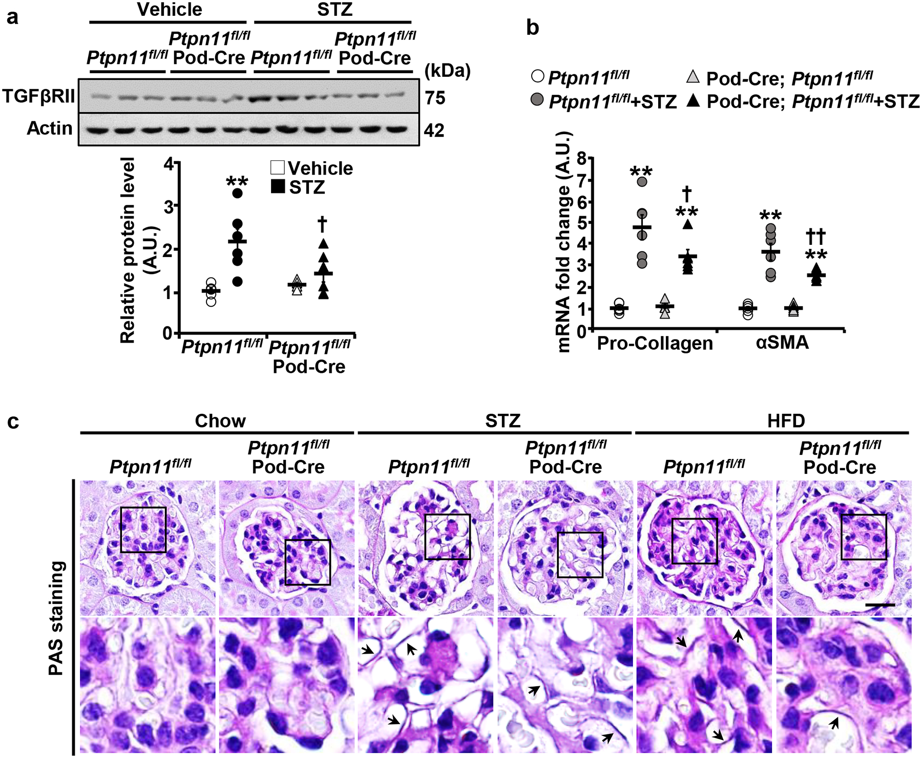 Fig. 4: