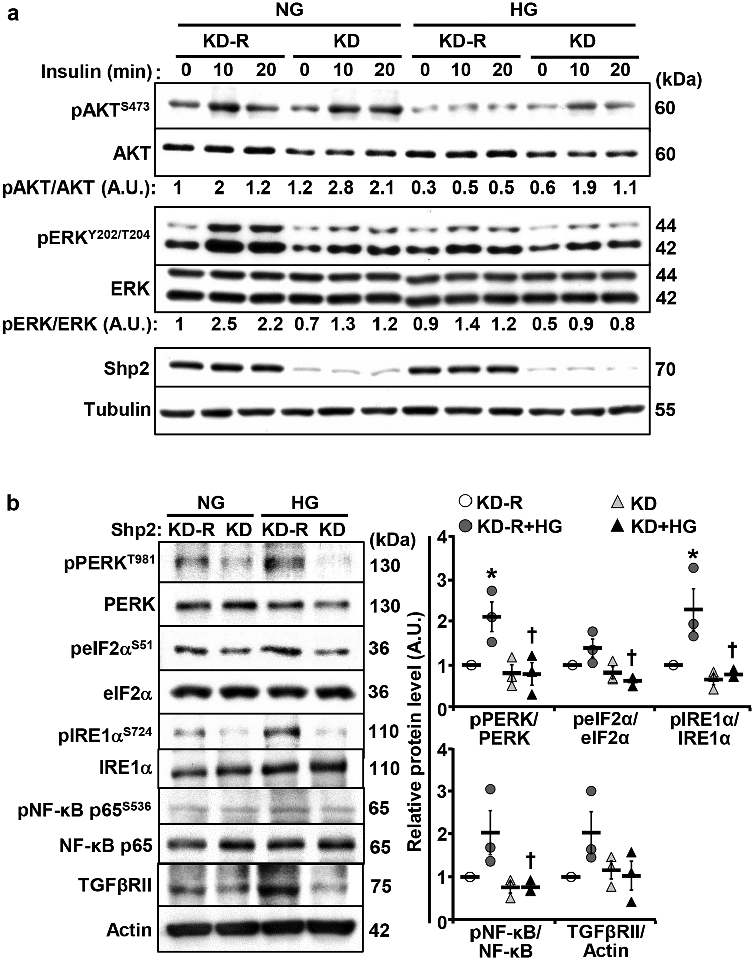 Fig. 6: