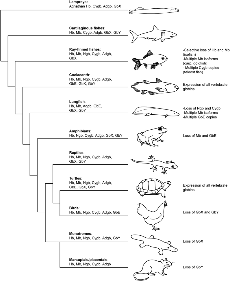 Fig. 2