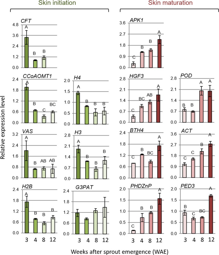 Figure 4