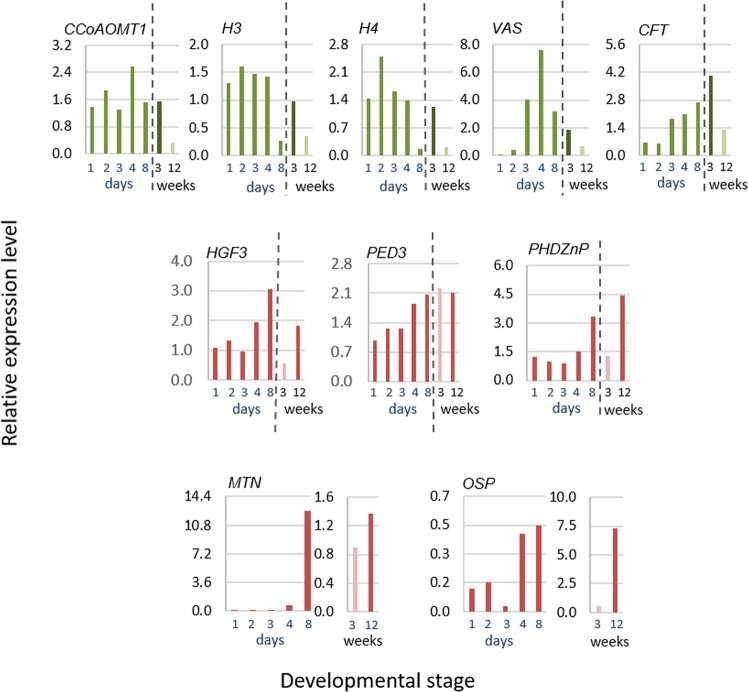 Figure 5