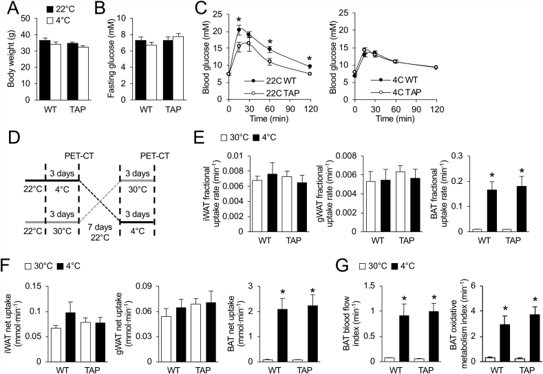 Figure 6