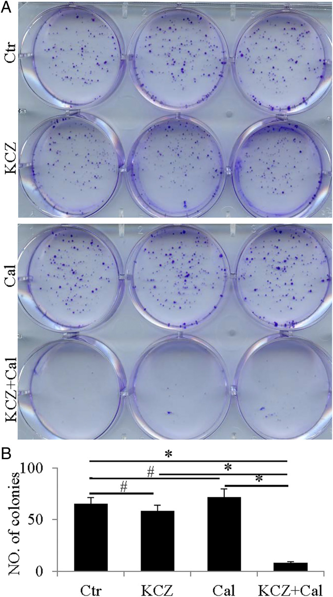 Fig. 6.