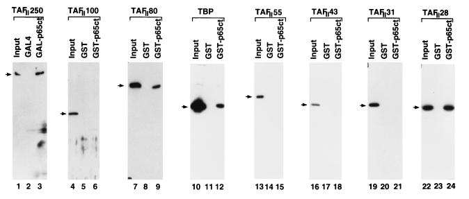 FIG. 6