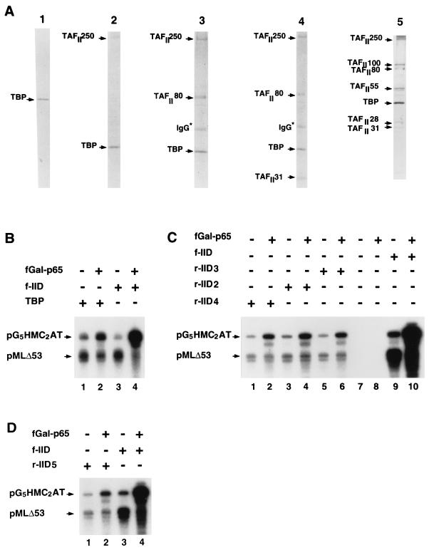 FIG. 7