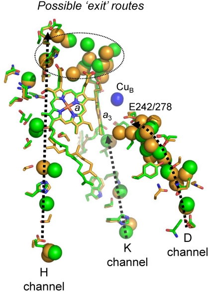 Fig. 3.