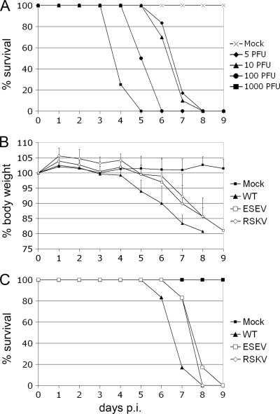 FIG. 5.