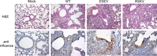 FIG. 7.