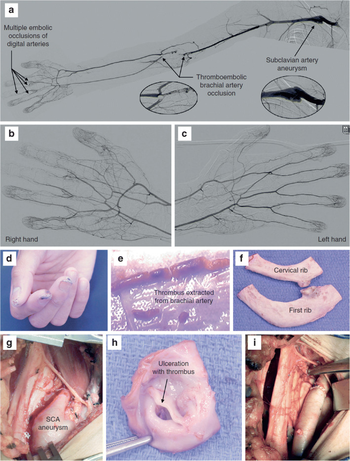 Fig. 7