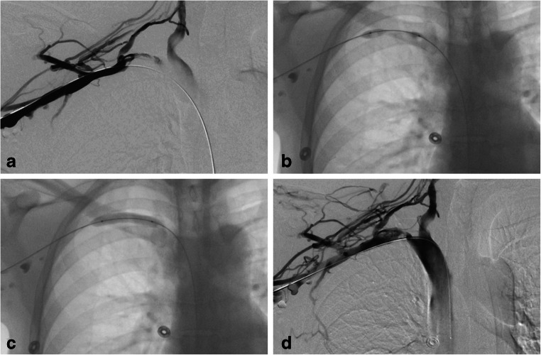 Fig. 5