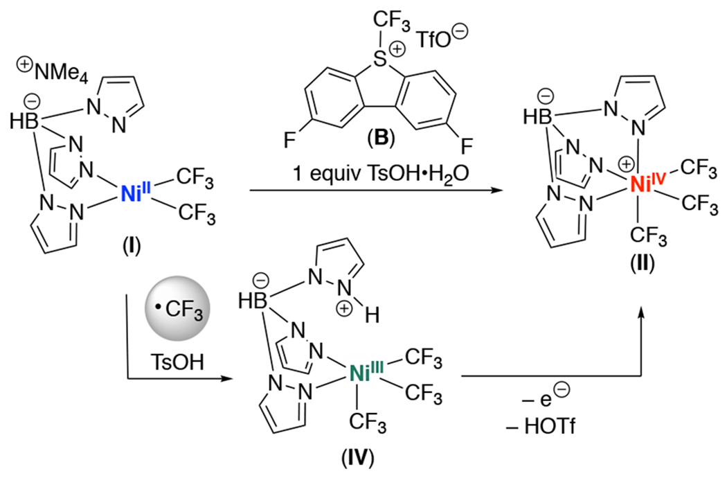 Scheme 5.