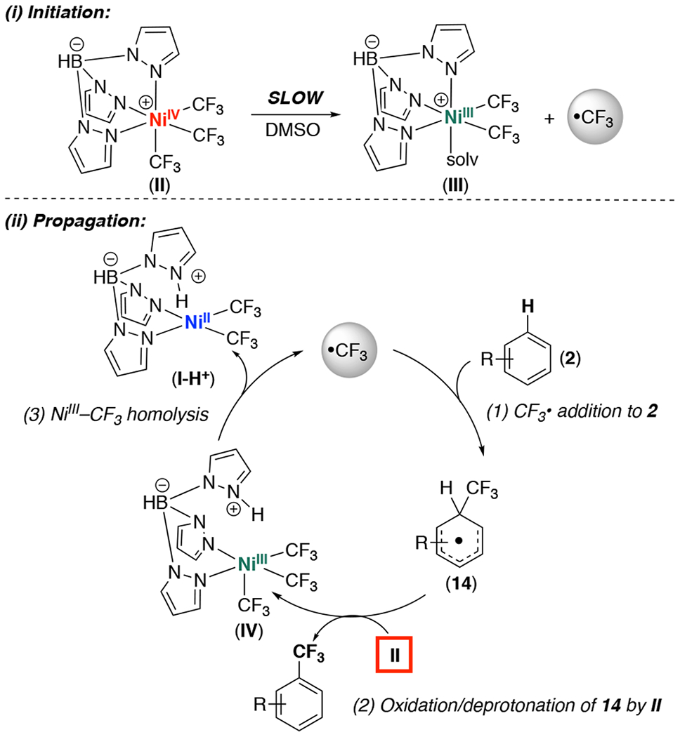 Scheme 3.