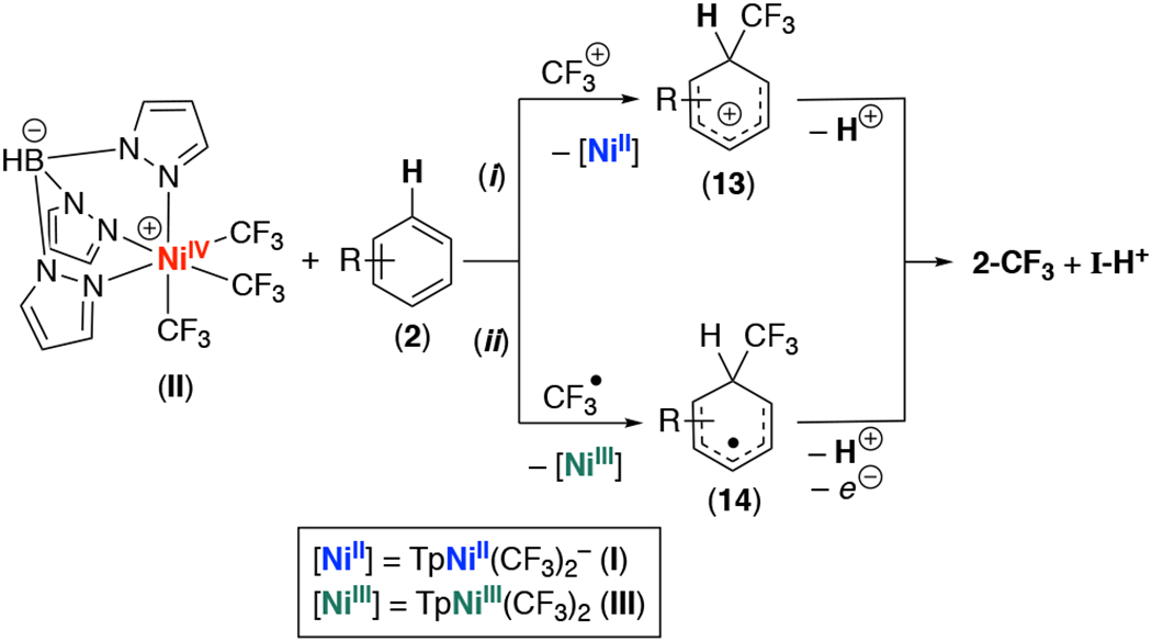 Scheme 2.