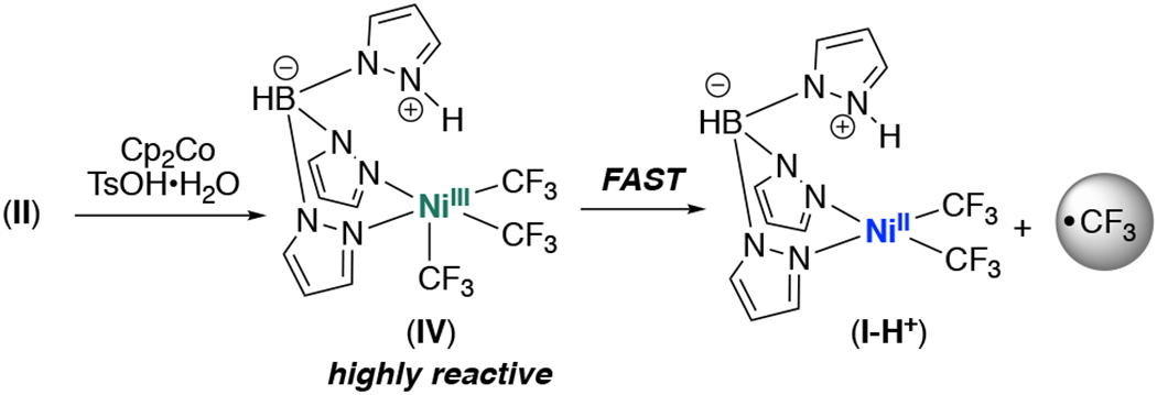 Scheme 4.