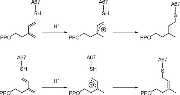 Scheme 4