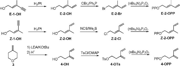 Scheme 2