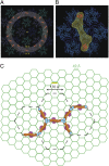 Fig. 4.