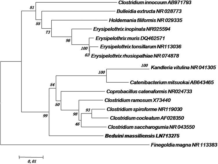 FIG. 4.