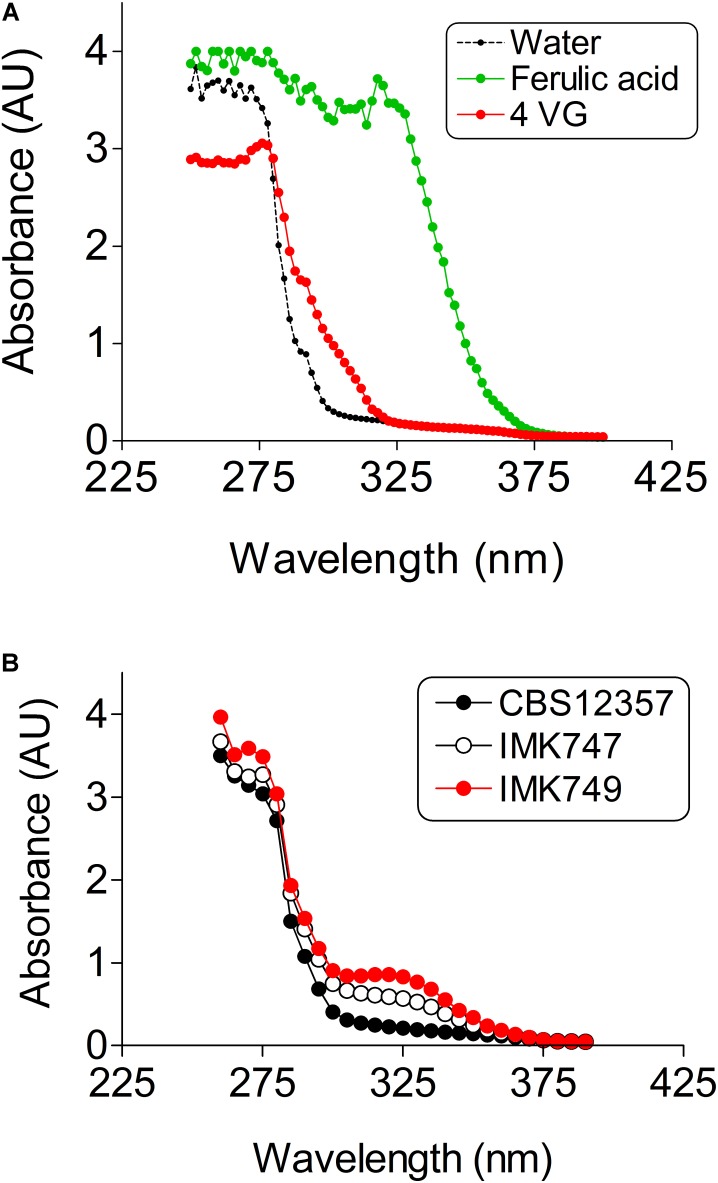 FIGURE 3