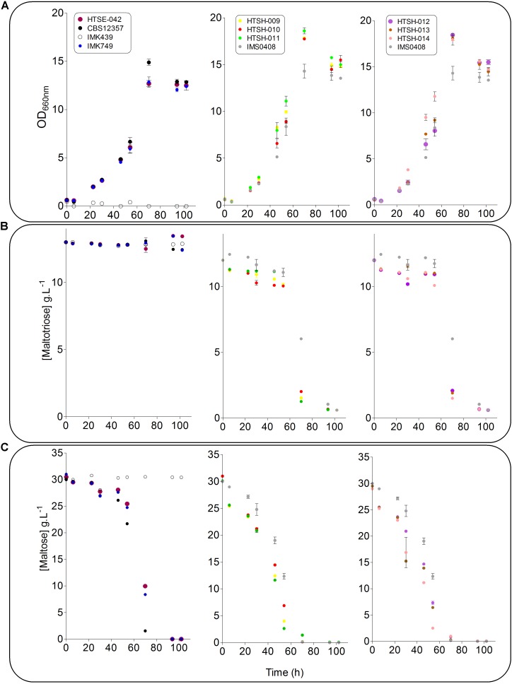 FIGURE 9