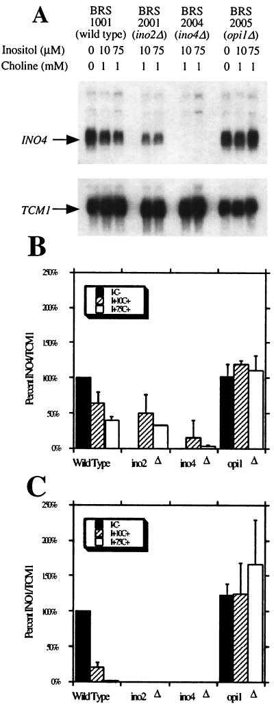 FIG. 1