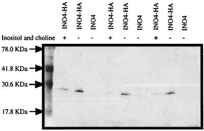 FIG. 3