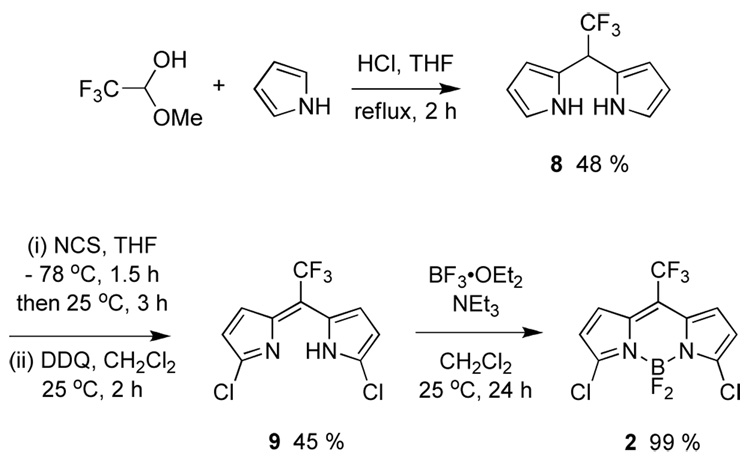 Scheme 5