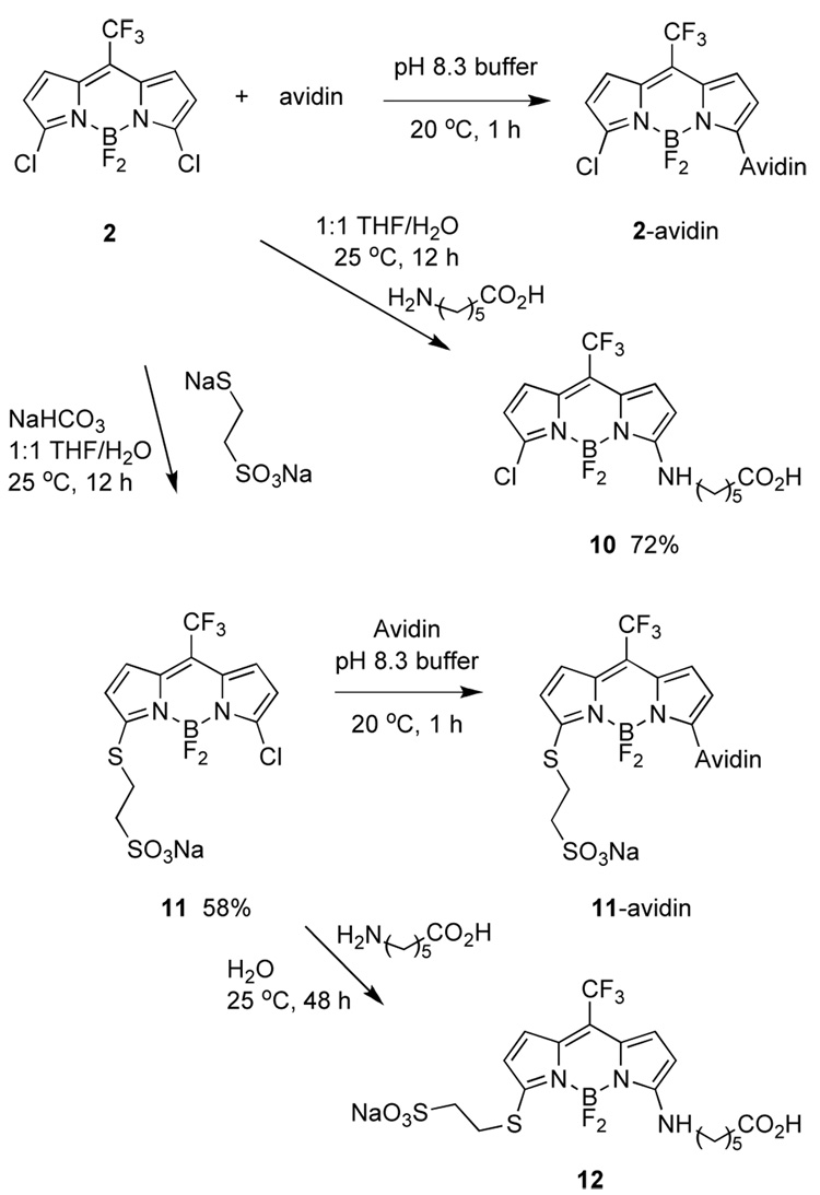 Scheme 6