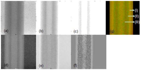 Fig. 5