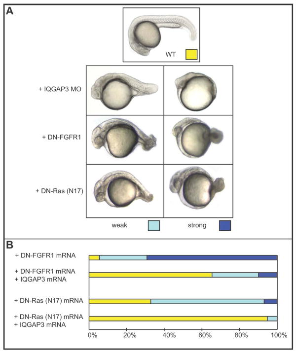 Fig. 9