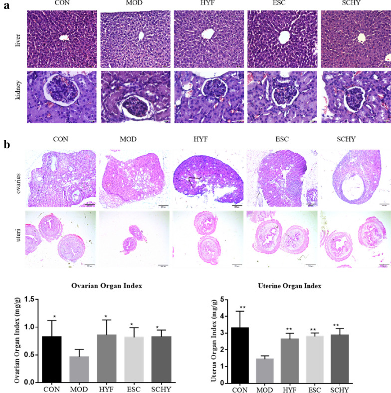 Fig. 3