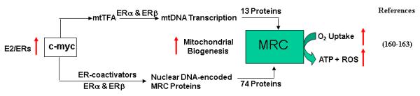 Figure 4B