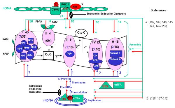 Figure 4A