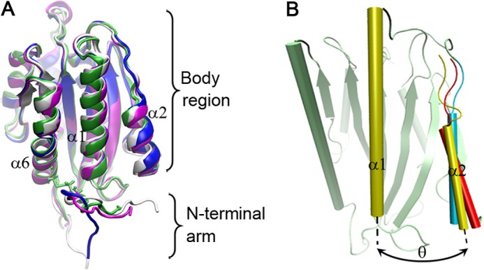 FIGURE 3.