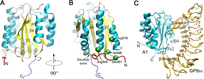 FIGURE 1.