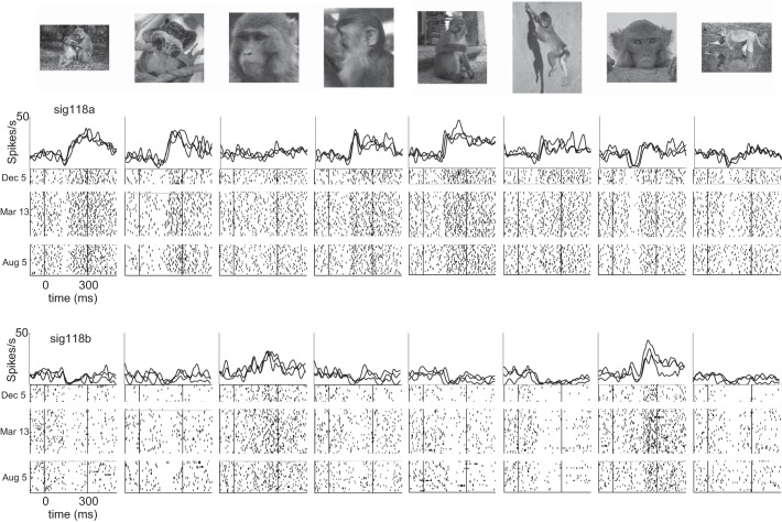 Fig. 9.