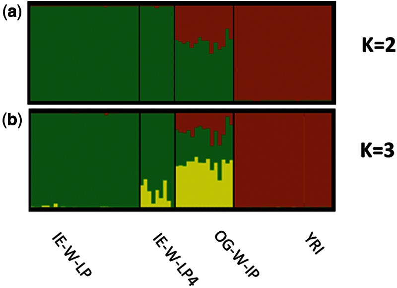 Fig. 4.—