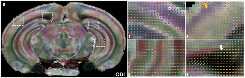 Figure 6: