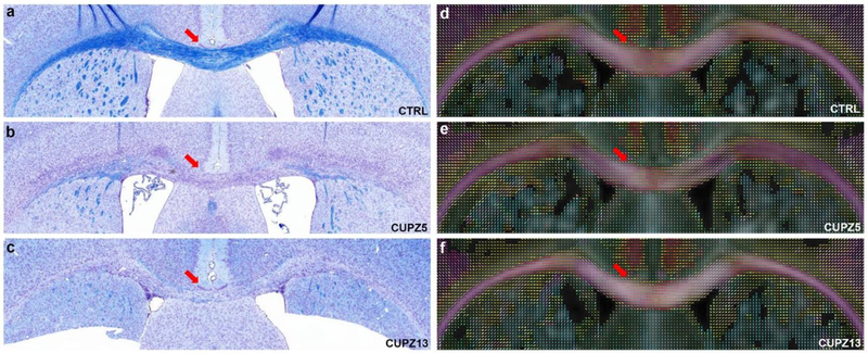 Figure 11: