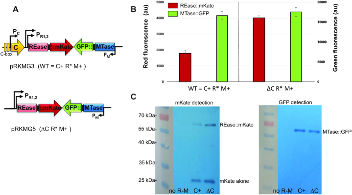 Figure 3.